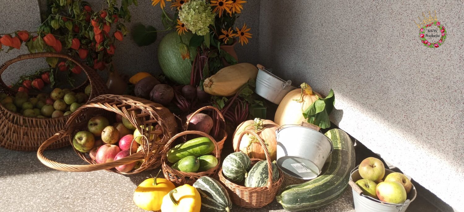 Koło Gospodyń Wiejskich Przybor&oacute;w